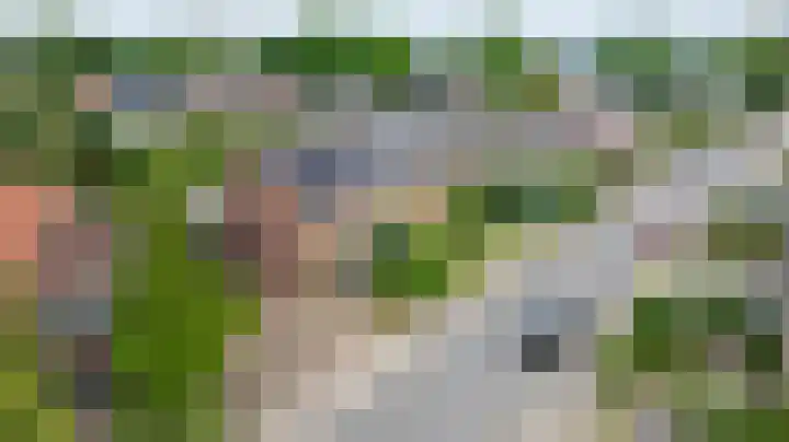 Beekseweg 15 Wehl thumbnail 58