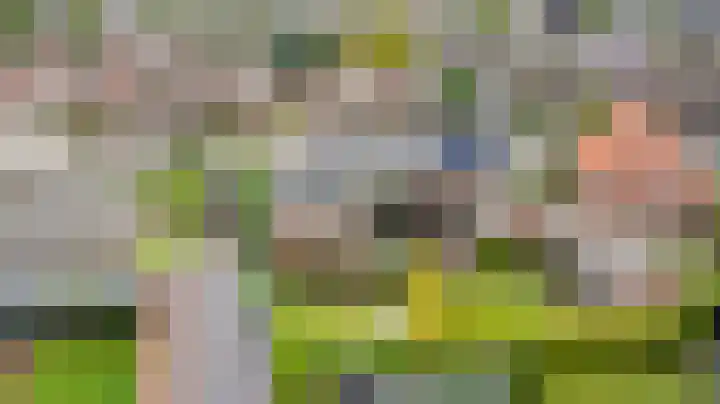 Beekseweg 15 Wehl thumbnail 59