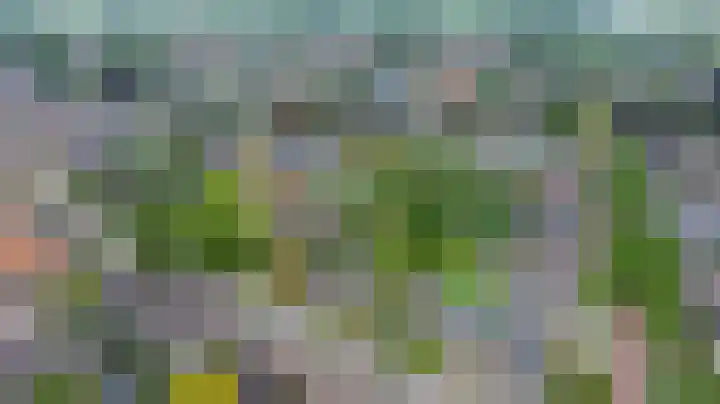 Beekseweg 15 Wehl thumbnail 60