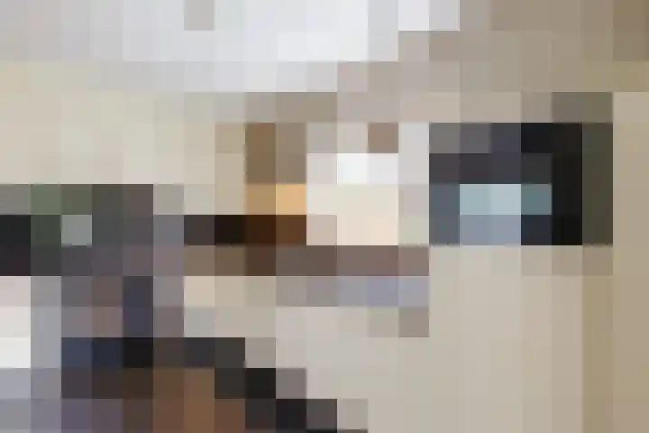 Beekseweg 3 Wehl thumbnail 13