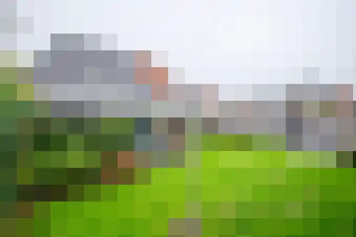 Beekseweg 3 Wehl thumbnail 22