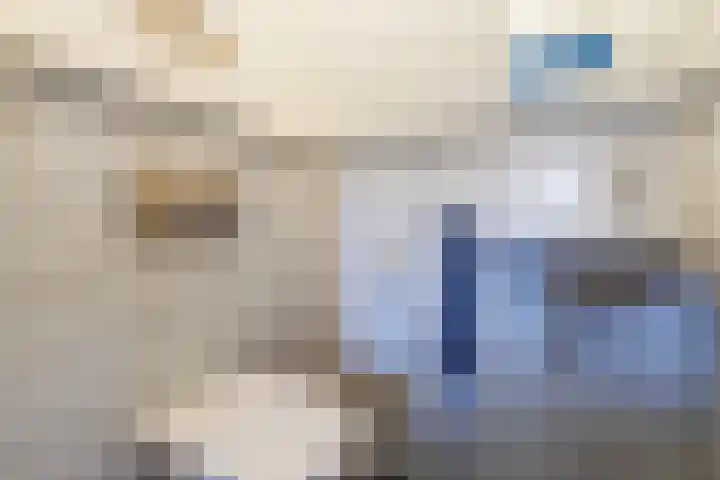 Beekseweg 3 Wehl thumbnail 26