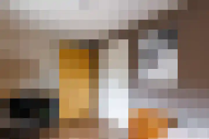 Beekseweg 3 Wehl thumbnail 40
