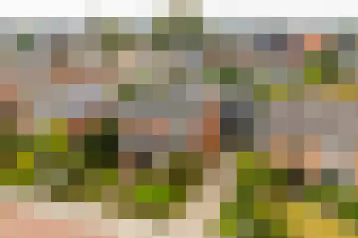 Beekseweg 3 Wehl thumbnail 51
