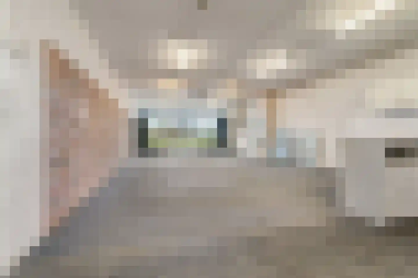 Beekseweg 42 A Babberich thumbnail 10
