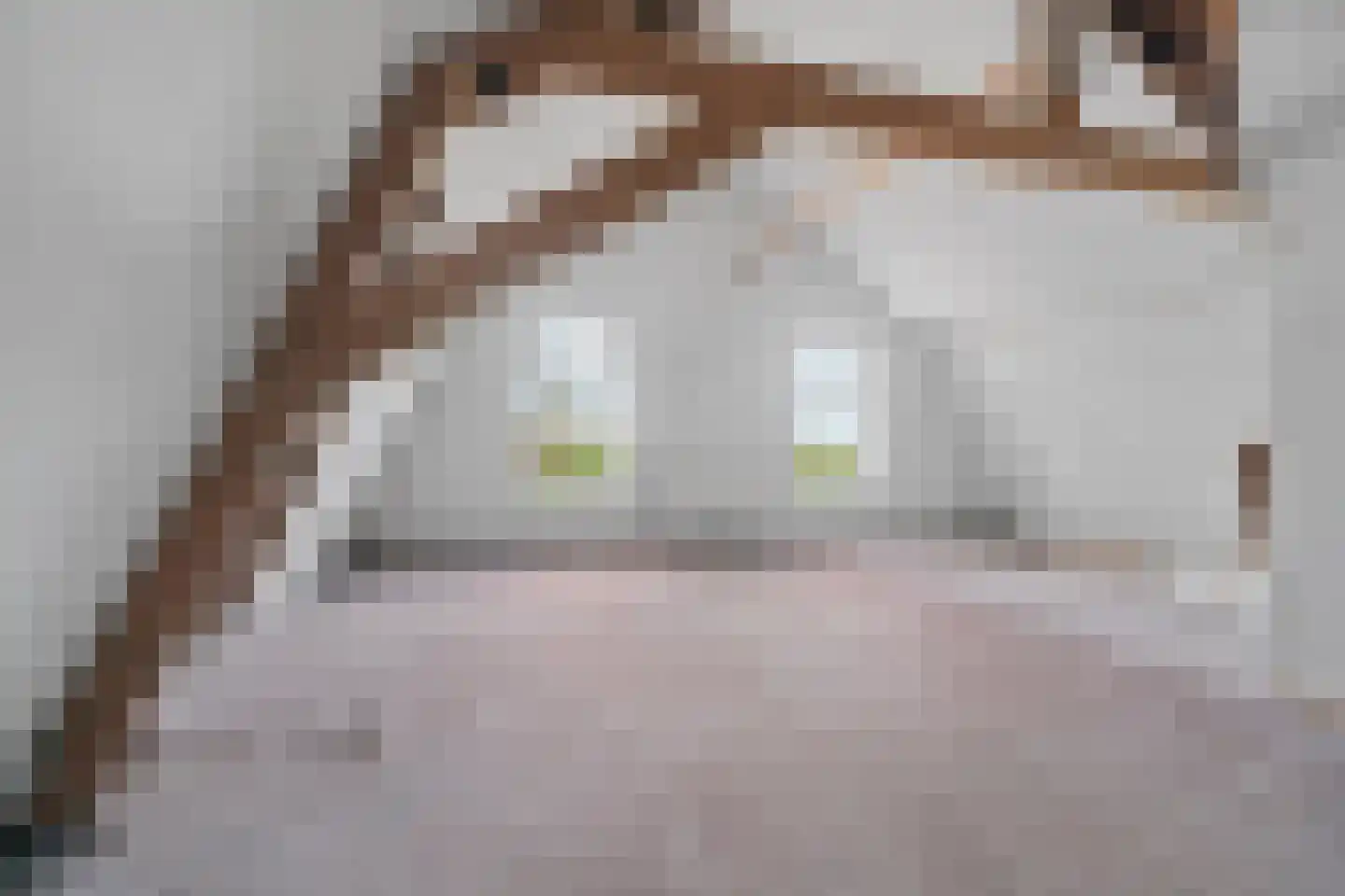 Beekseweg 42 A Babberich thumbnail 13