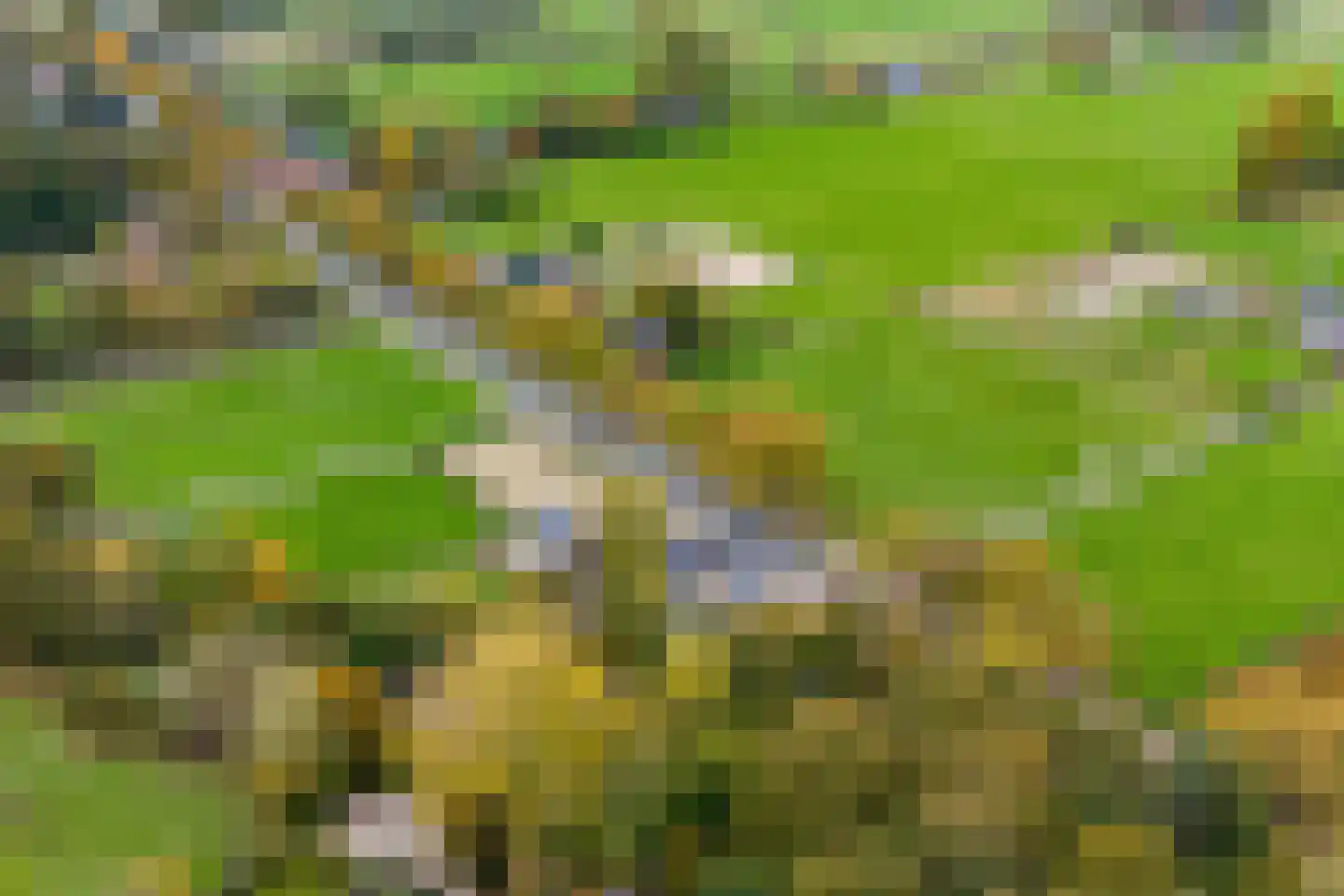 Beekseweg 42 A Babberich thumbnail 19