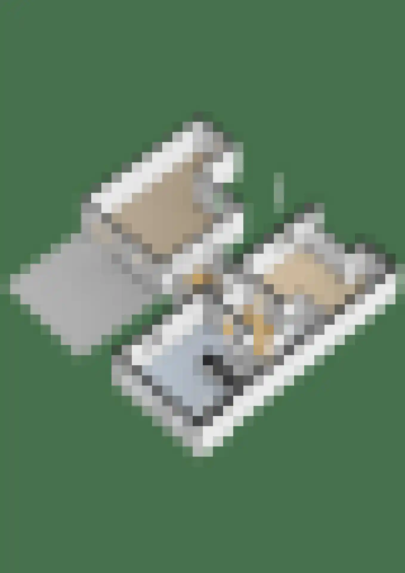 Beekseweg 42 A Babberich thumbnail 27