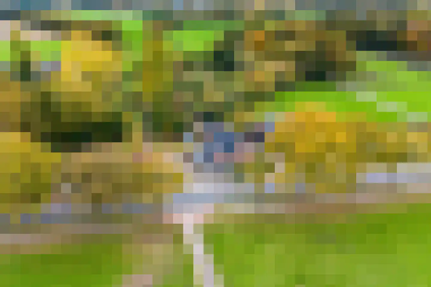Beekseweg 42 A Babberich thumbnail 5