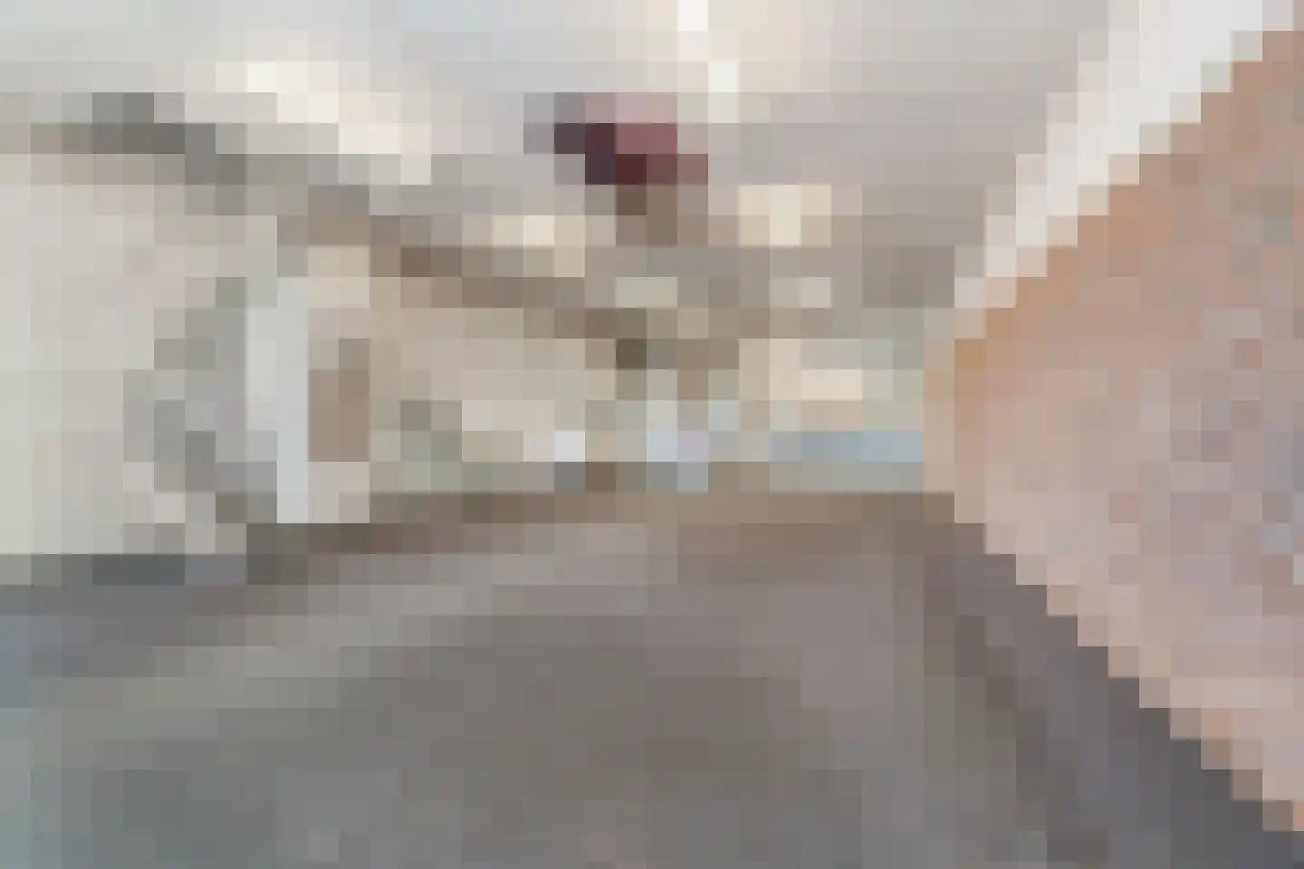 Beekseweg 42 A Babberich thumbnail 6