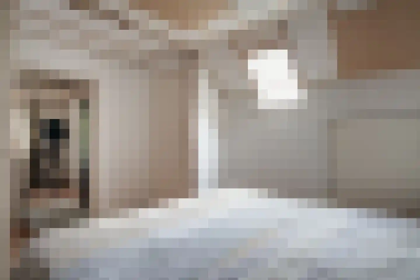 Beekseweg 45 Babberich thumbnail 17