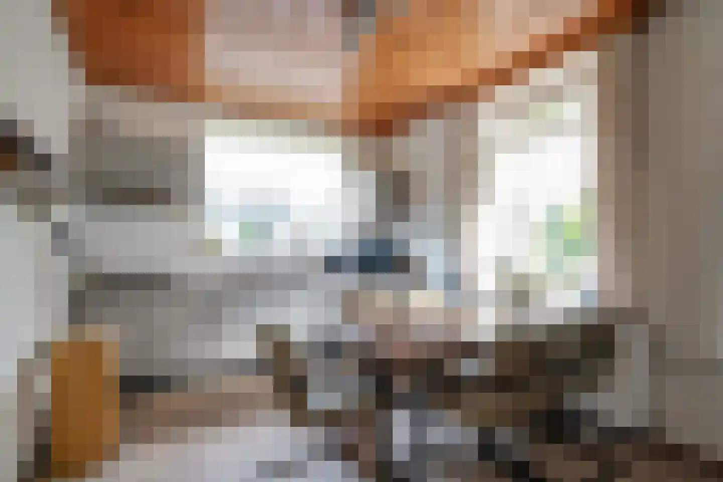 Beekseweg 45 Babberich thumbnail 6