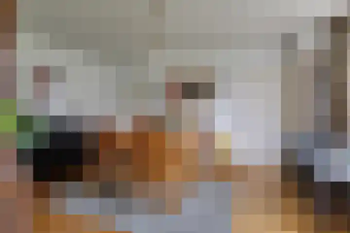 Beekseweg 47 Babberich thumbnail 15