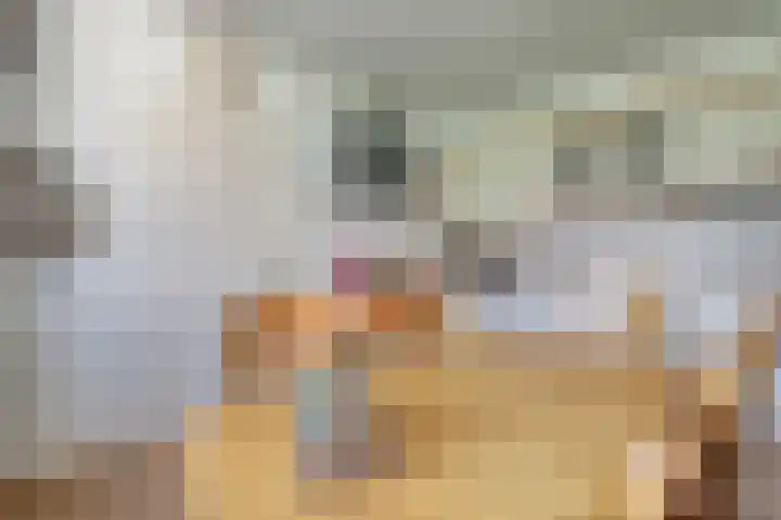 Beekseweg 47 Babberich thumbnail 19