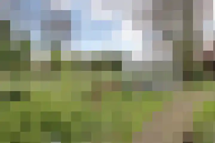 Beekseweg 47 Babberich thumbnail 23
