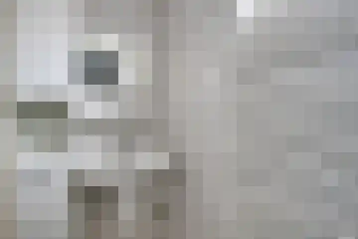 Beekseweg 47 Babberich thumbnail 27