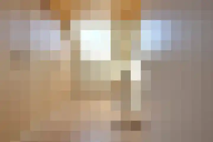 Beekseweg 47 Babberich thumbnail 32