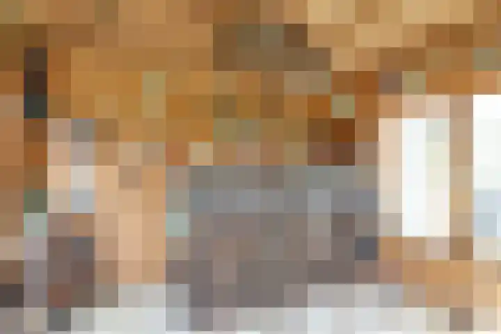 Beekseweg 47 Babberich thumbnail 36