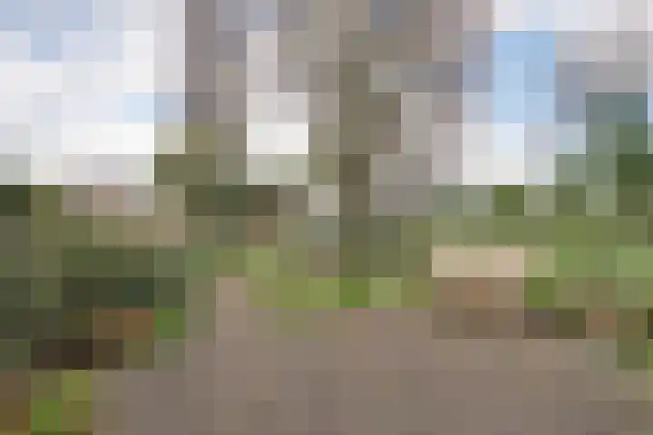 Beekseweg 47 Babberich thumbnail 4