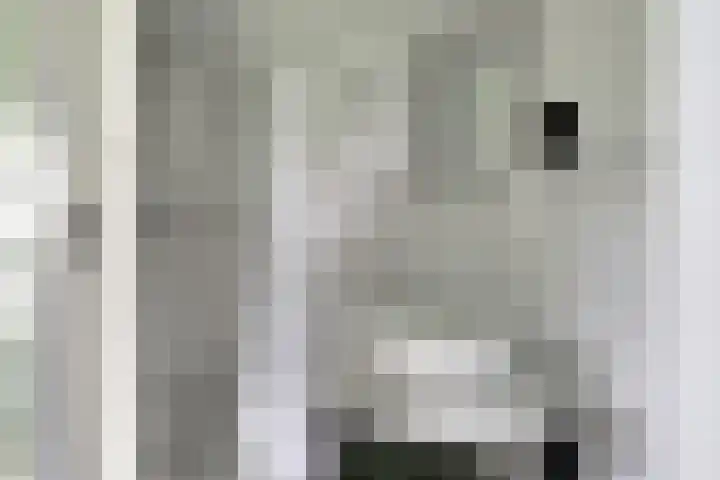 Beekseweg 47 Babberich thumbnail 41