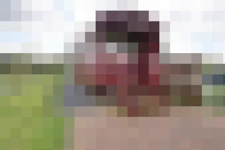 Beekseweg 47 Babberich thumbnail 6