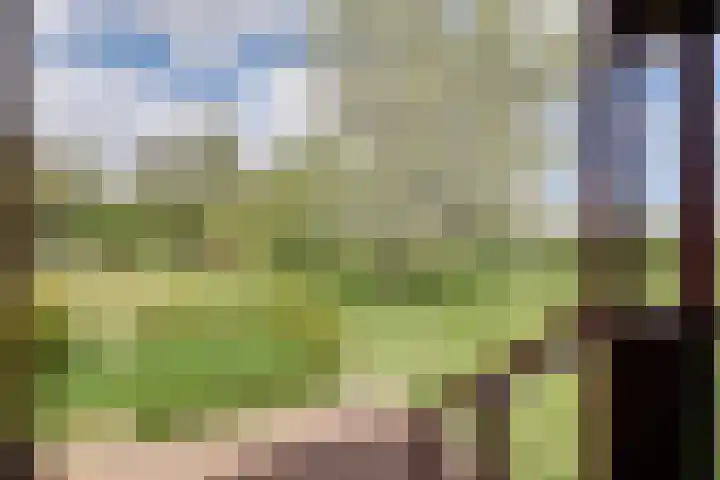 Beekseweg 47 Babberich thumbnail 8