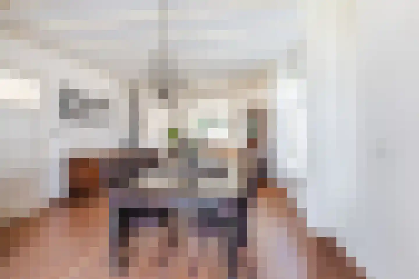 Beekseweg 5 Diessen thumbnail 11