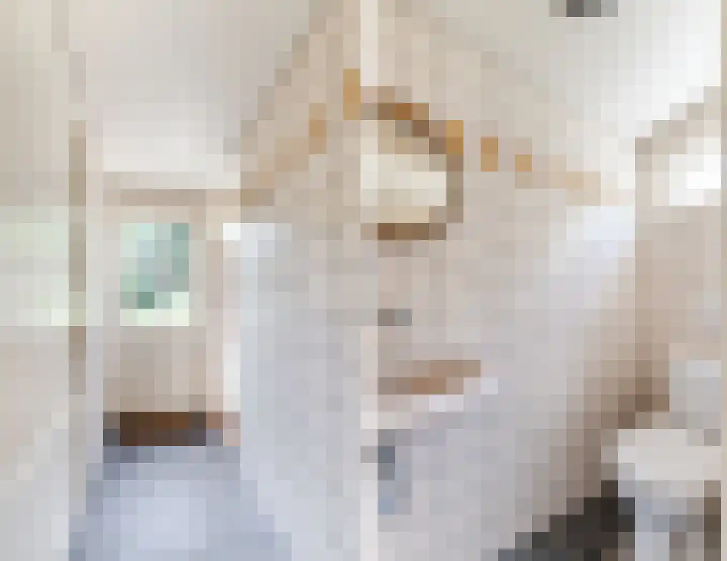 Beekseweg 5 Diessen thumbnail 18