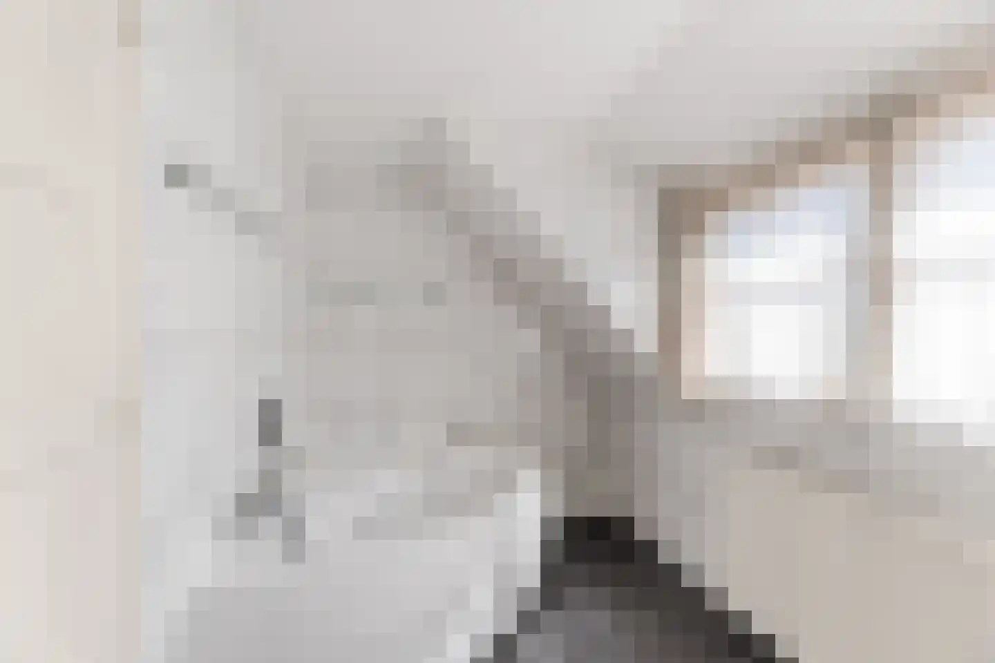 Beekseweg 5 Diessen thumbnail 35