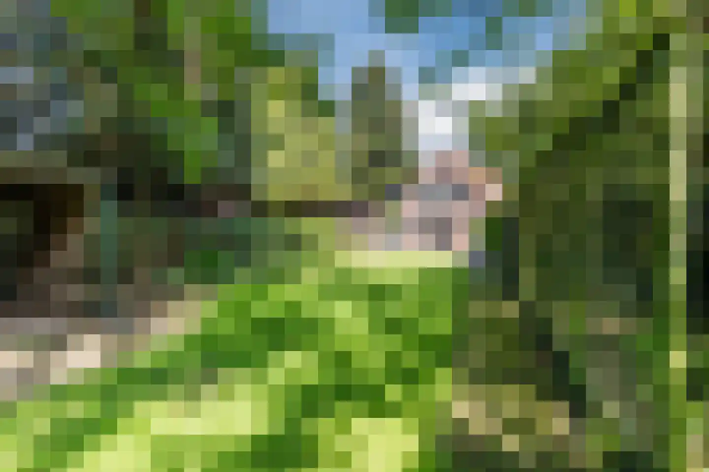 Beekseweg 5 Diessen thumbnail 43