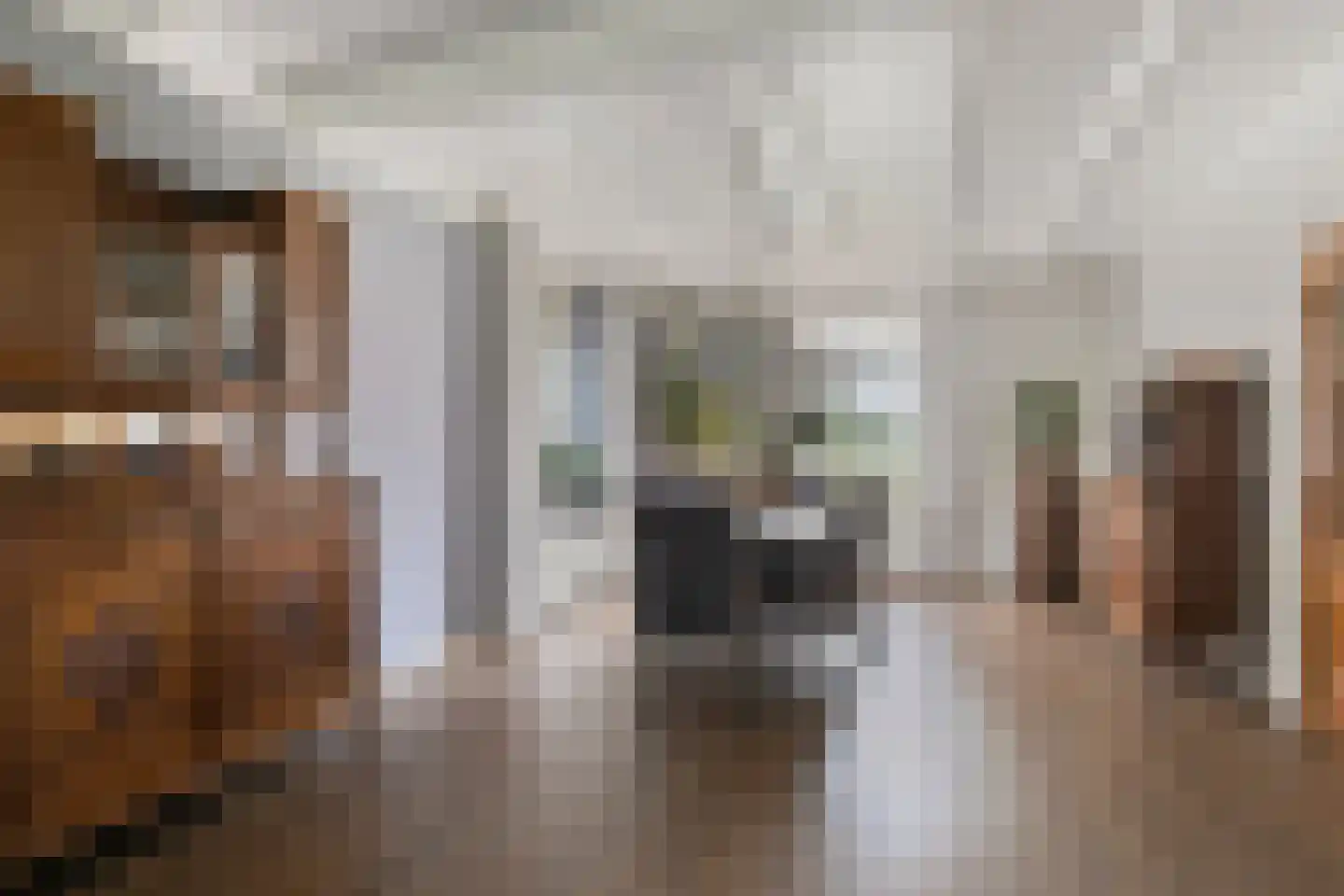 Beekseweg 70 Didam thumbnail 10