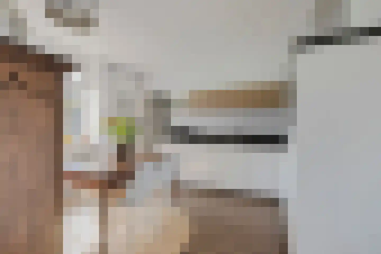 Beekseweg 70 Didam thumbnail 11