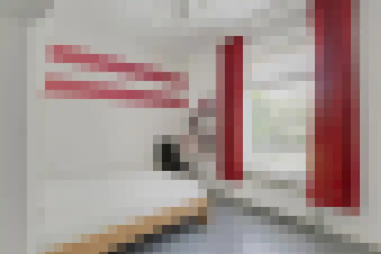 Beekseweg 70 Didam thumbnail 13