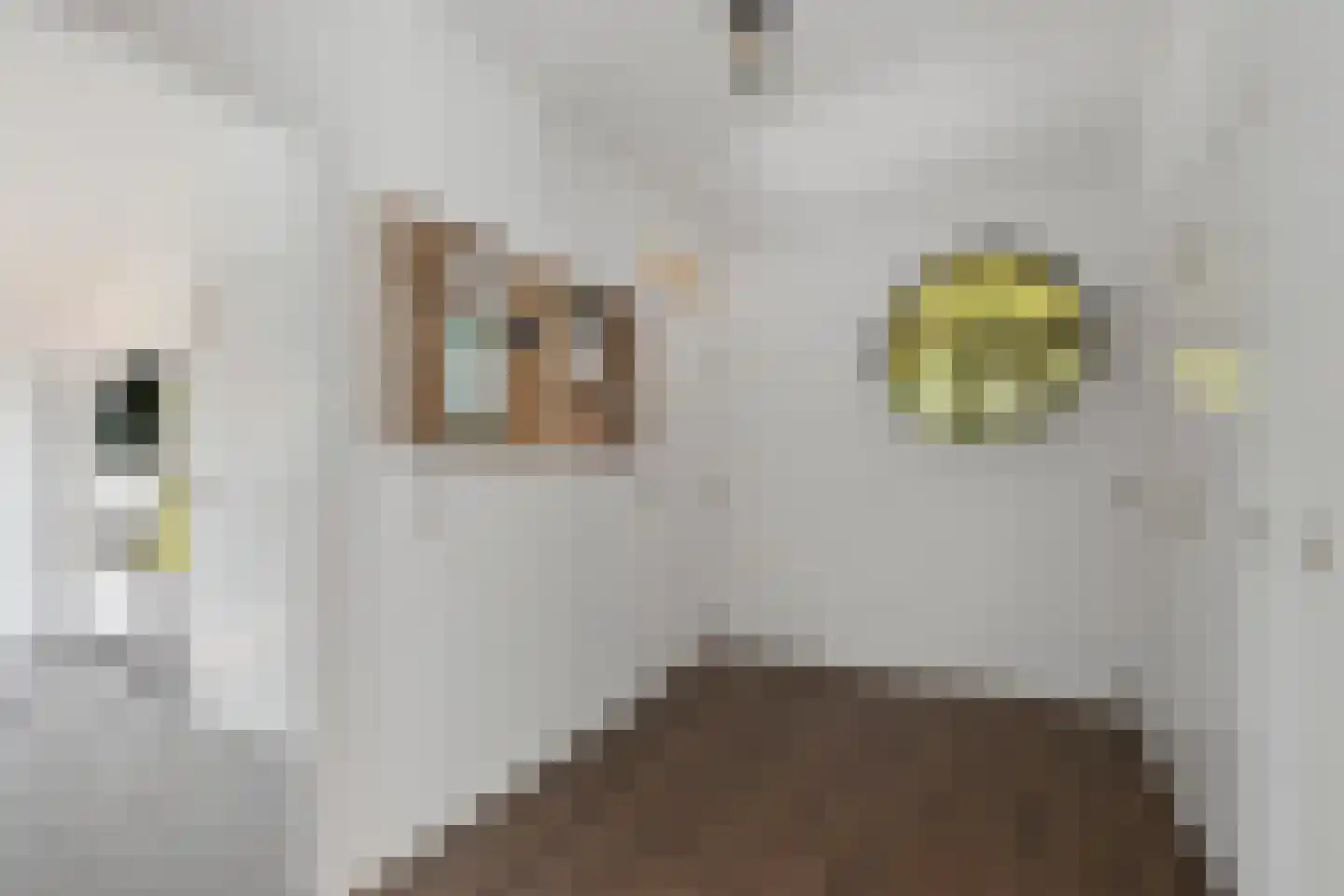 Beekseweg 70 Didam thumbnail 15
