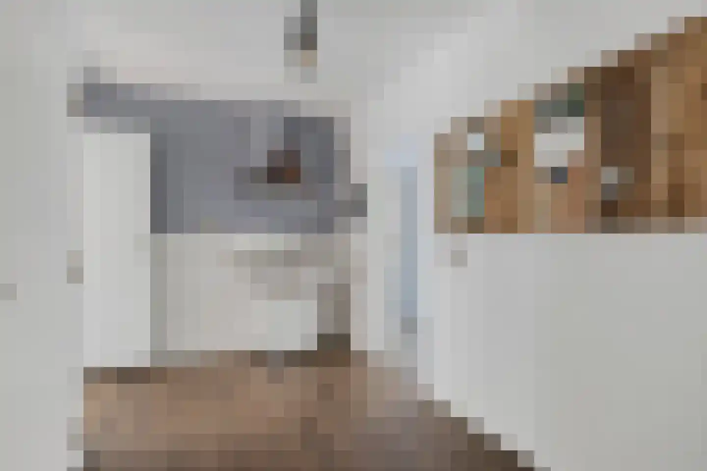 Beekseweg 70 Didam thumbnail 16