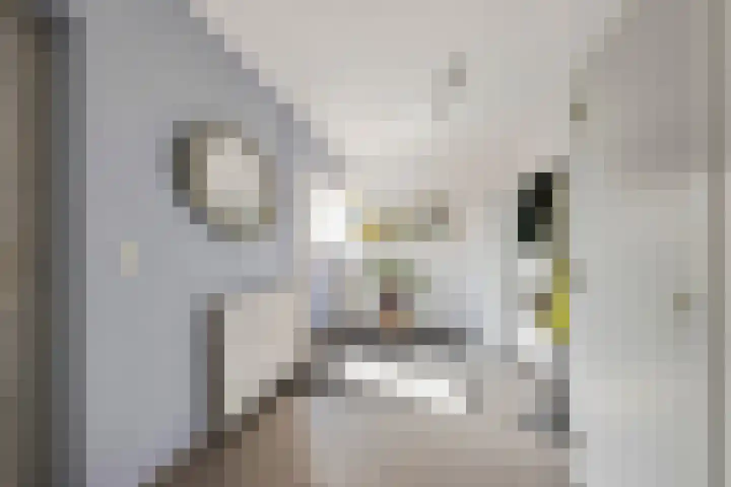 Beekseweg 70 Didam thumbnail 17