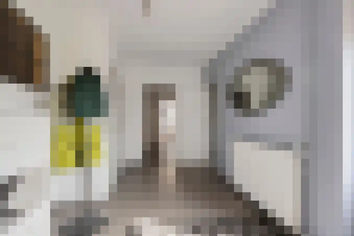 Beekseweg 70 Didam thumbnail 18
