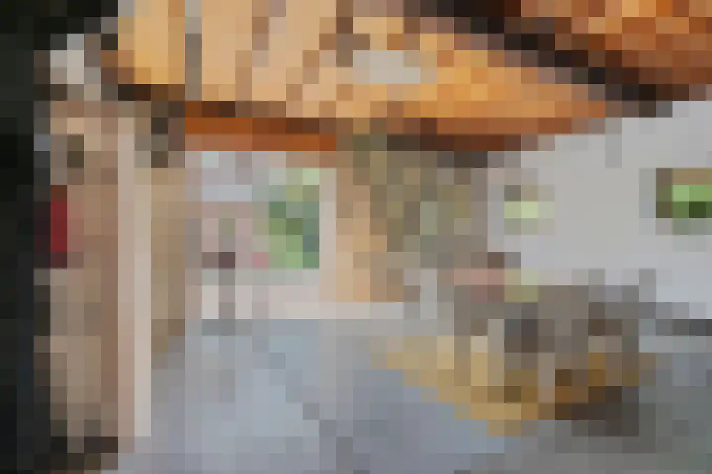 Beekseweg 70 Didam thumbnail 19