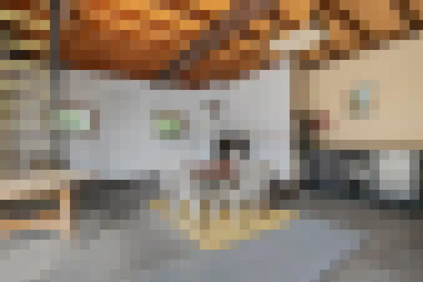 Beekseweg 70 Didam thumbnail 20
