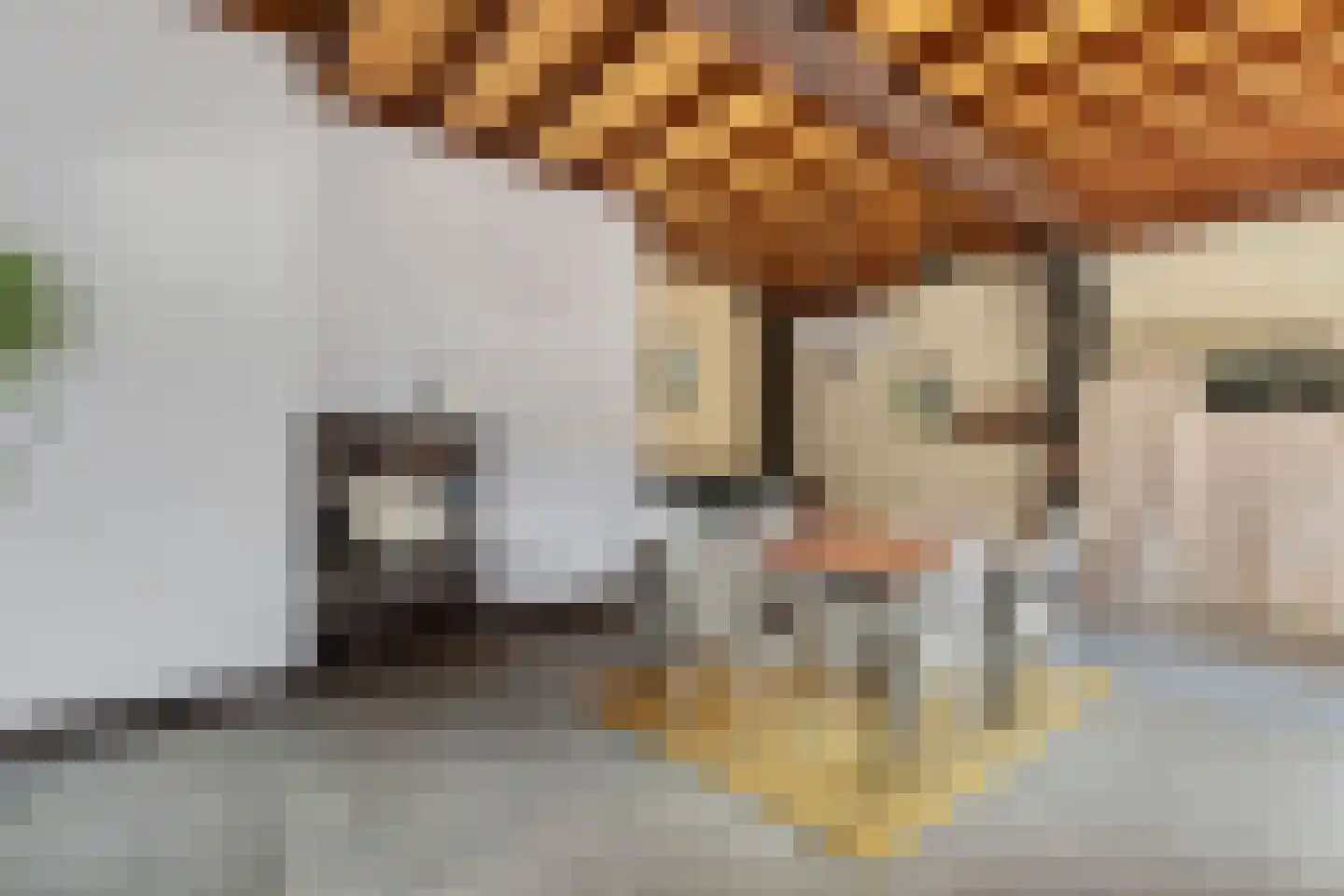 Beekseweg 70 Didam thumbnail 21