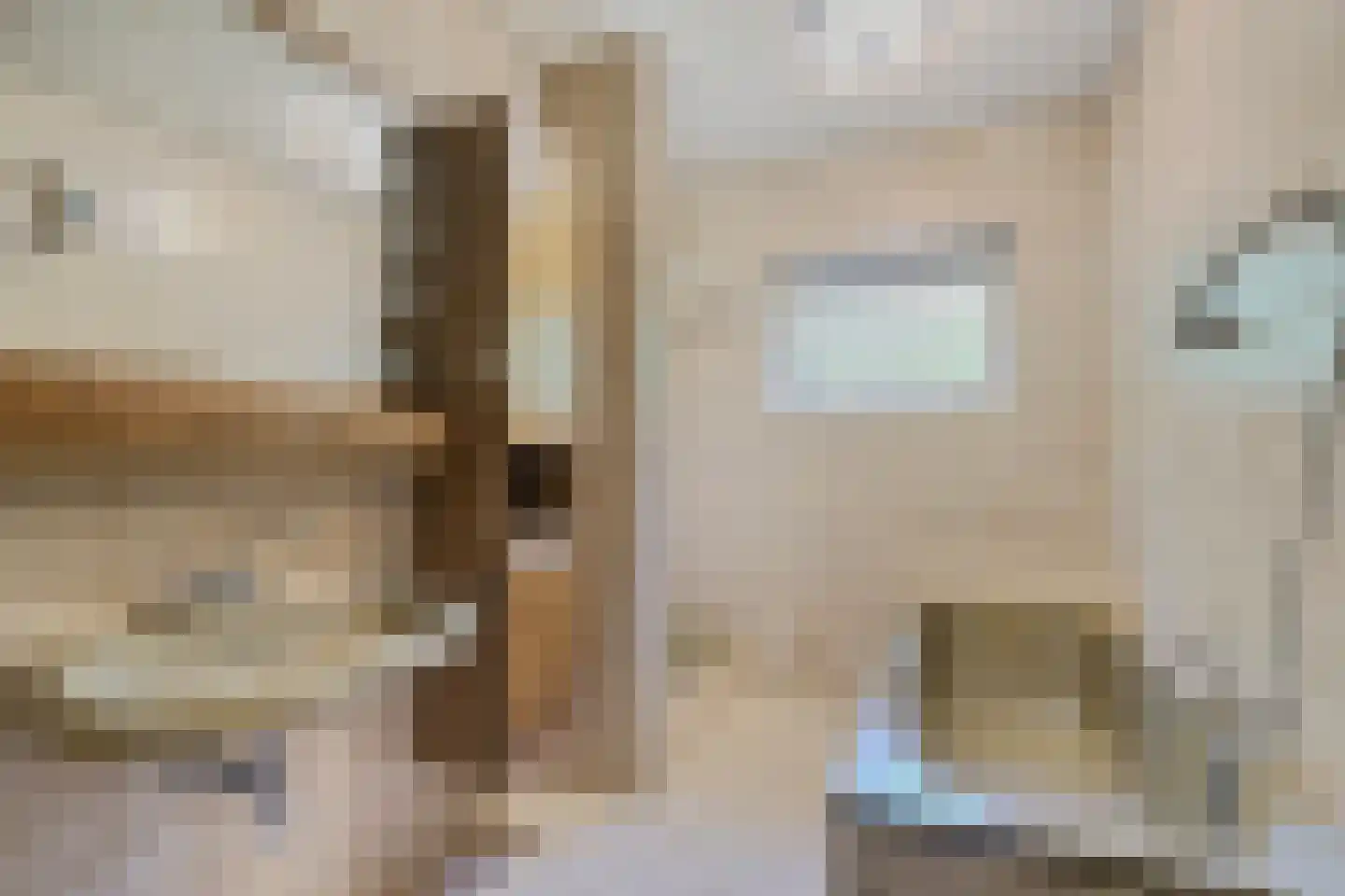 Beekseweg 70 Didam thumbnail 23