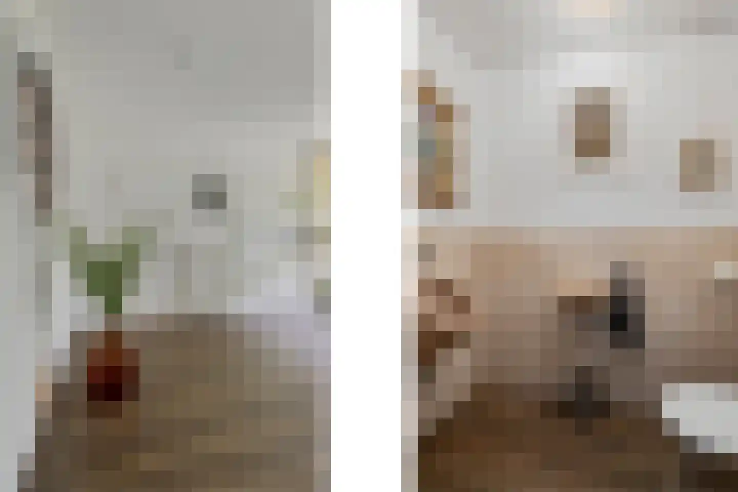 Beekseweg 70 Didam thumbnail 24