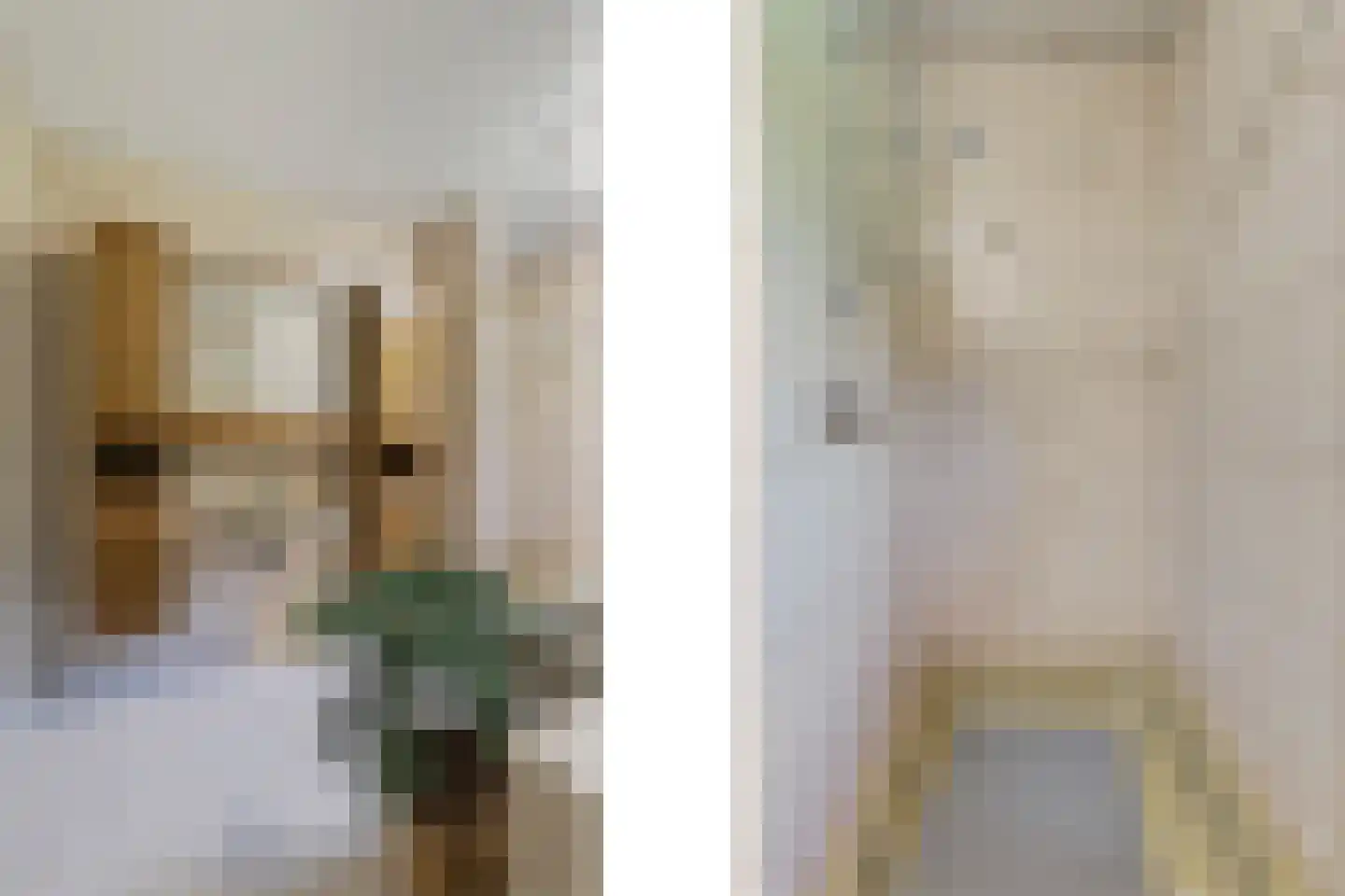 Beekseweg 70 Didam thumbnail 25