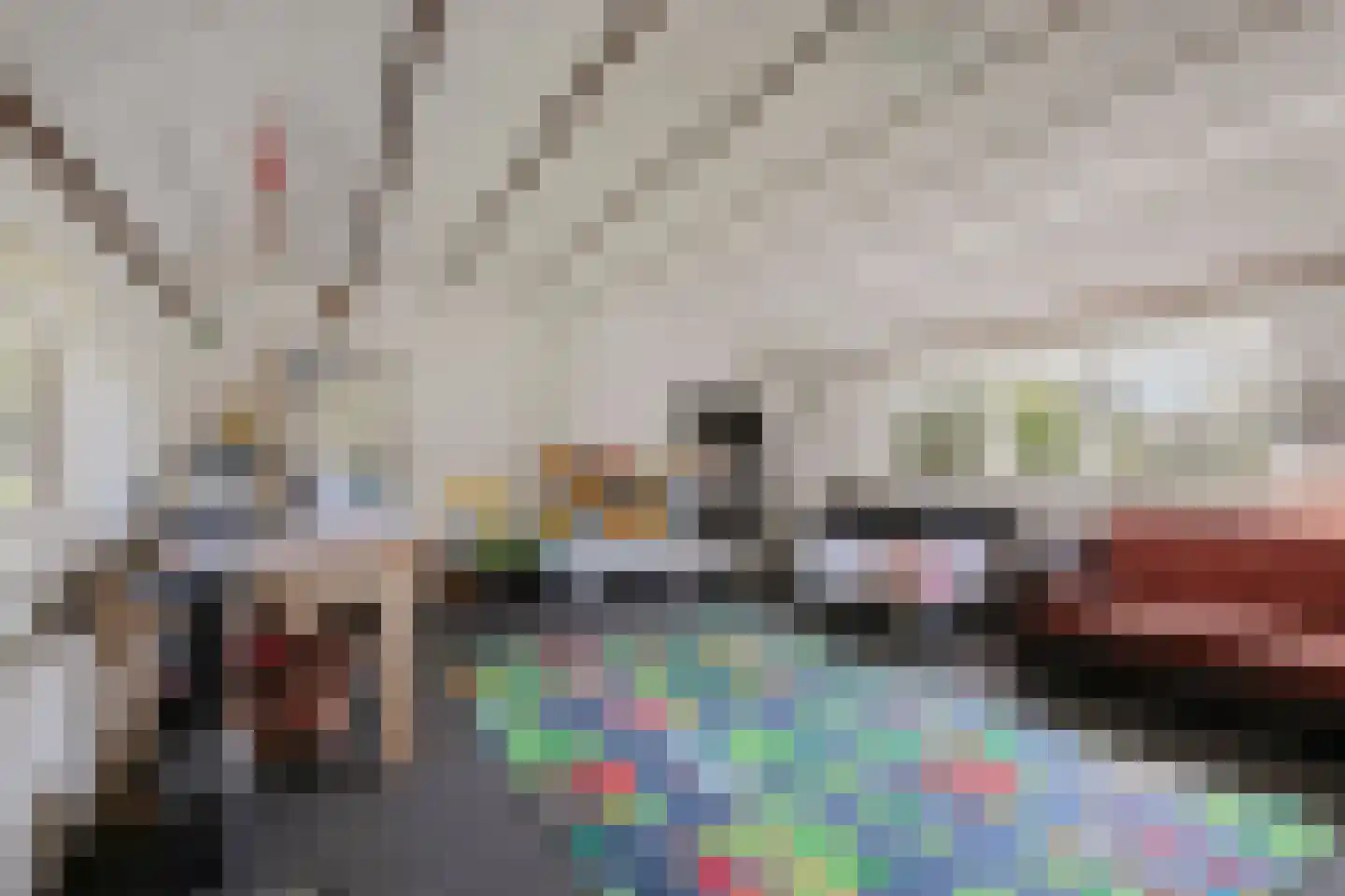 Beekseweg 70 Didam thumbnail 29