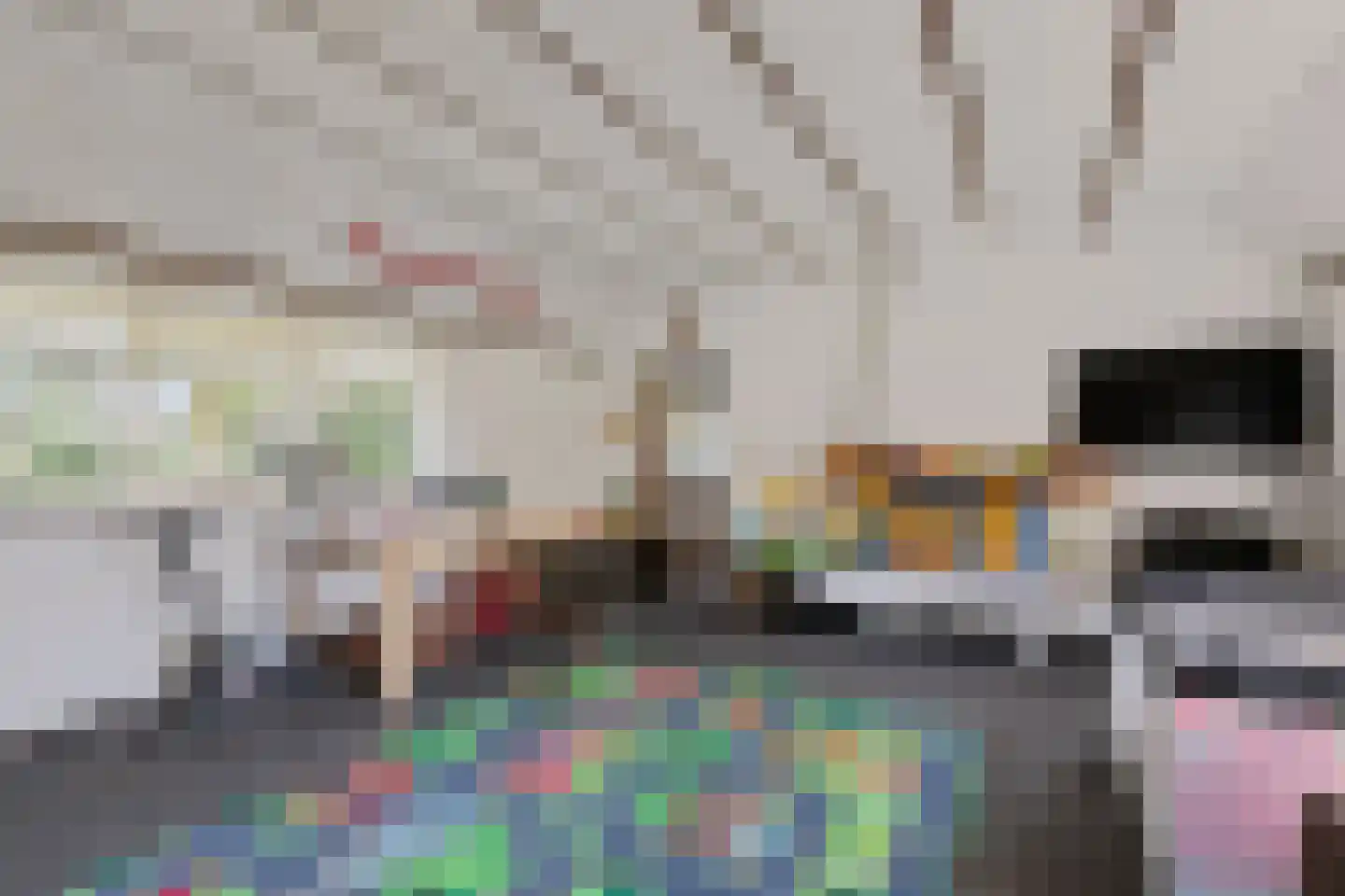 Beekseweg 70 Didam thumbnail 30