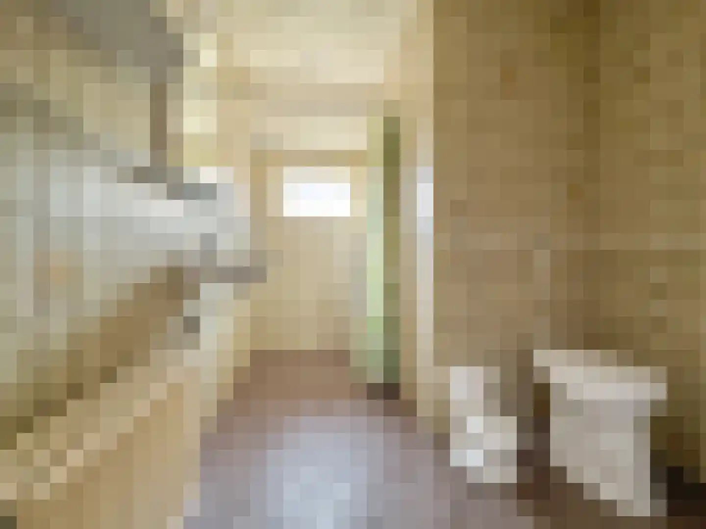 Beekseweg 70 Didam thumbnail 36