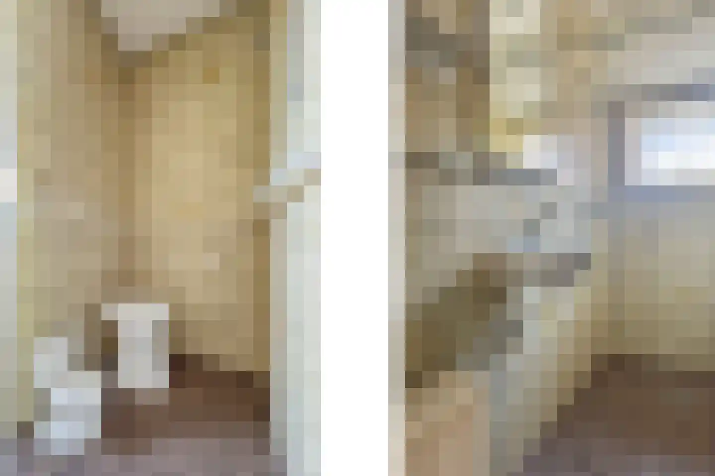 Beekseweg 70 Didam thumbnail 37