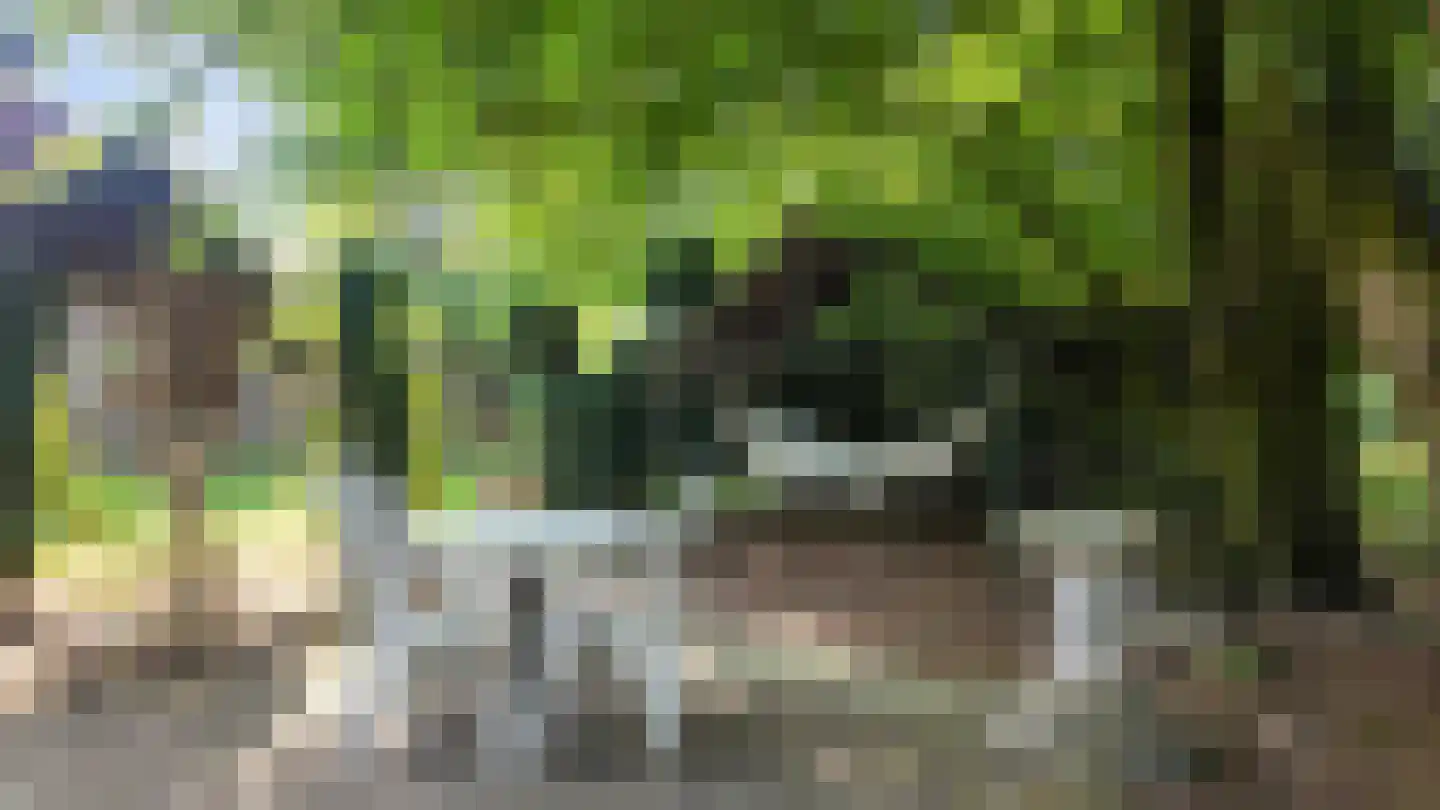 Beekseweg 70 Didam thumbnail 38
