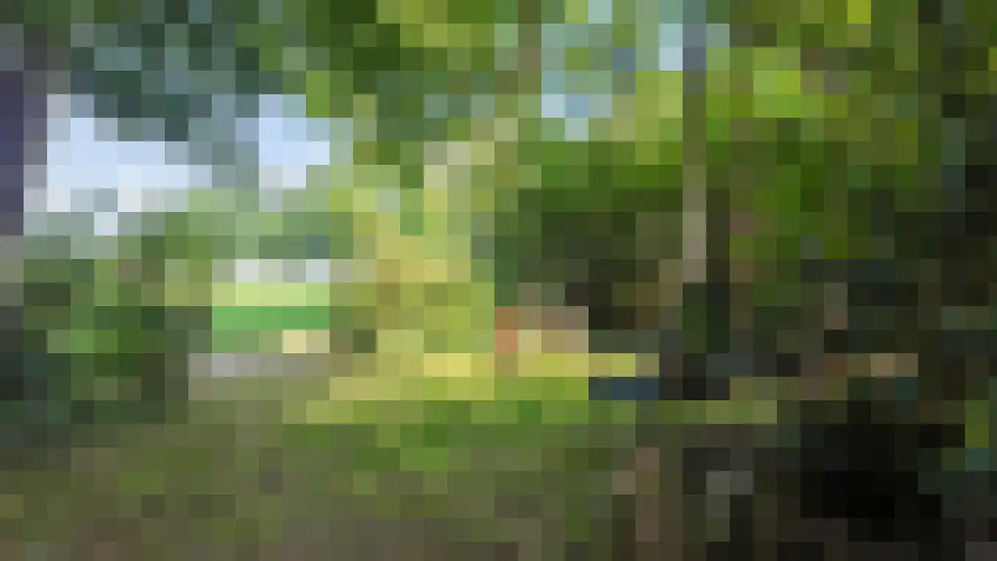Beekseweg 70 Didam thumbnail 39