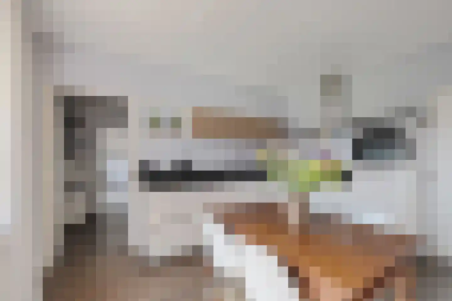 Beekseweg 70 Didam thumbnail 4